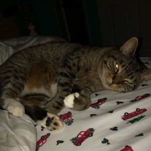 Meet your Posher, Kaitlyn